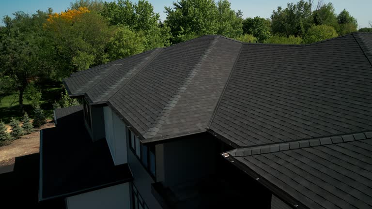 Professional Roofing Services in Dimondale, MI